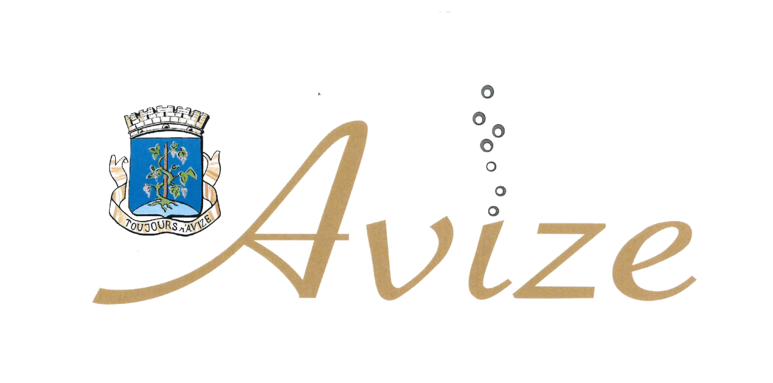 AVIZE