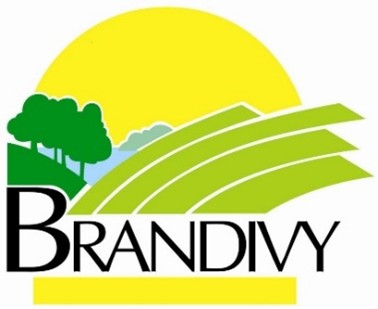 BRANDIVY