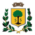SAINT SAVOURNIN