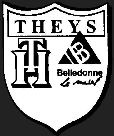 THEYS