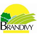 BRANDIVY
