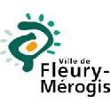 FLEURY MEROGIS